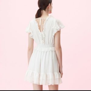 Brand new darling Rebecca Taylor dress